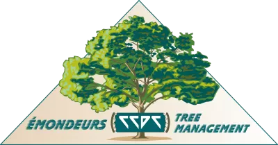 Imagen PNG para descargar